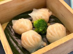-伯乐居茶艺馆(石岐大信店)