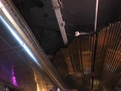 -Darling Queen·Mini·Live·House
