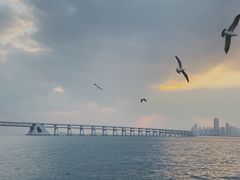 -星海广场
