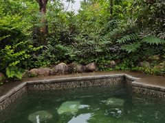 -太白山御龙湾温泉