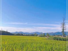 -良渚古城遗址公园