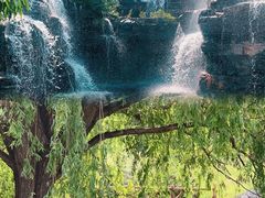 -北京西山国家森林公园