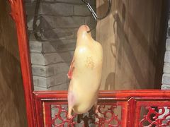 -局气 烤鸭·北京菜(光华路店)
