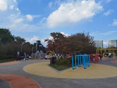 -澹台湖公园