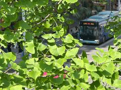 -龙湖重庆时代天街