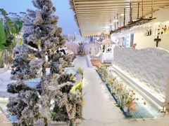 -天空花园餐吧·生日·团建(南山店)