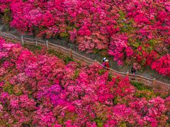 -木兰云雾山