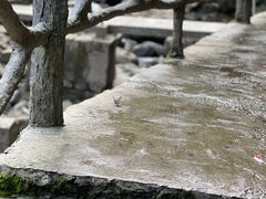 -白云源风景区
