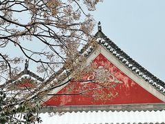-长春观