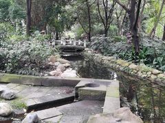-成都市活水公园