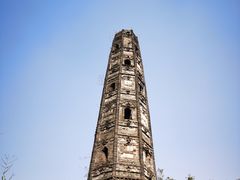 -上海佘山国家森林公园天马山园