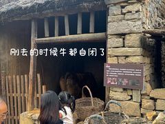 -红嫂家乡旅游区
