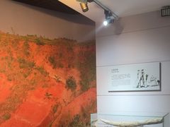 -烟台市博物馆