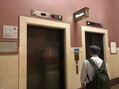 -美国自然历史博物馆