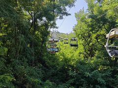 -富斯特索道