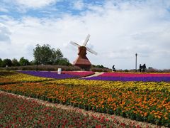 -杭州湾海上花田景区