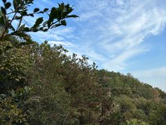 -青龙山国家森林公园