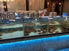水产区-小天鹅戴斯酒店鲸鲨百汇创作料理