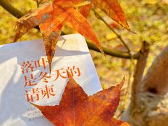 -田野绿世界