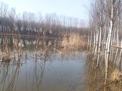 -东郊湿地公园