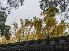 -北京国子监胡同