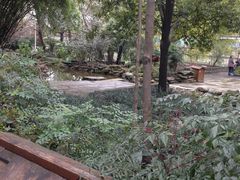 -成都市活水公园