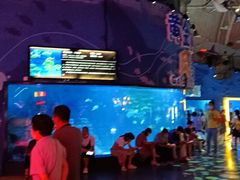 -烟台海昌鲸鲨海洋公园