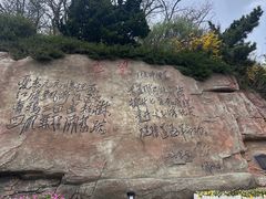 -棒棰岛宾馆景区