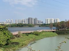 -广东花都湖国家湿地公园