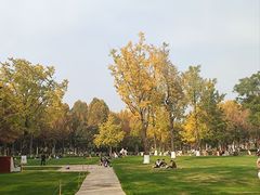 -重庆中央公园(渝北区)