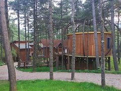 -洛阳白云山景区