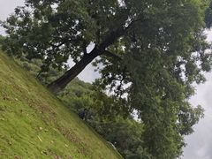 -湘湖金融镇