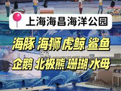 -上海海昌海洋公园