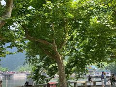 -庐山风景区花径公园