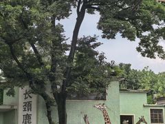 -昆明动物园