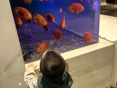 -烟台金沙滩喜来登度假酒店