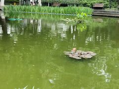 -常州古运河南大街文化旅游区-人民公园