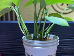 -学习谷日语培训日本留学·多语种外语教学(海淀人大分部)