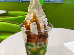 -Salud撒露欧洲冻酸奶(五道口购物中心店)