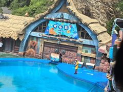 -大连老虎滩海洋公园