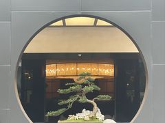 -椿杨樘·明康泡浴养生馆(重庆店)