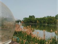 -Supine Bistro溯泮餐厅