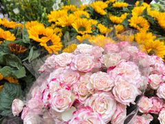 -循礼门鲜花花市(武汉循礼门店)