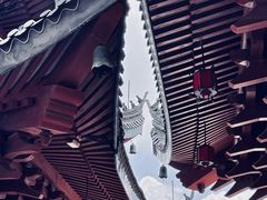-上海东林寺(金山区)
