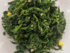 巧拌桑叶苗-邢家锅贴老店·非遗·开封菜(金明广场店)