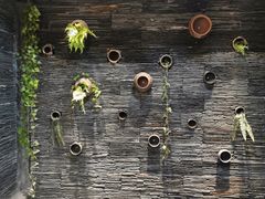 -一只烧鸡公(解放碑店)