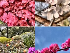 -宁波儿童公园(鄞州区)