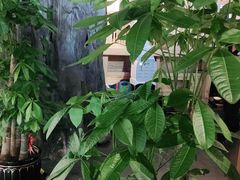 -九田家黑牛烤肉料理(溧阳吾悦店)