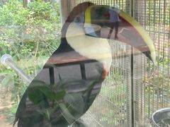 -南宫五洲植物乐园