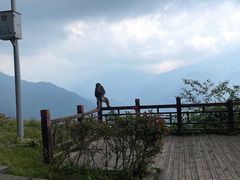 -太阳湾风景区